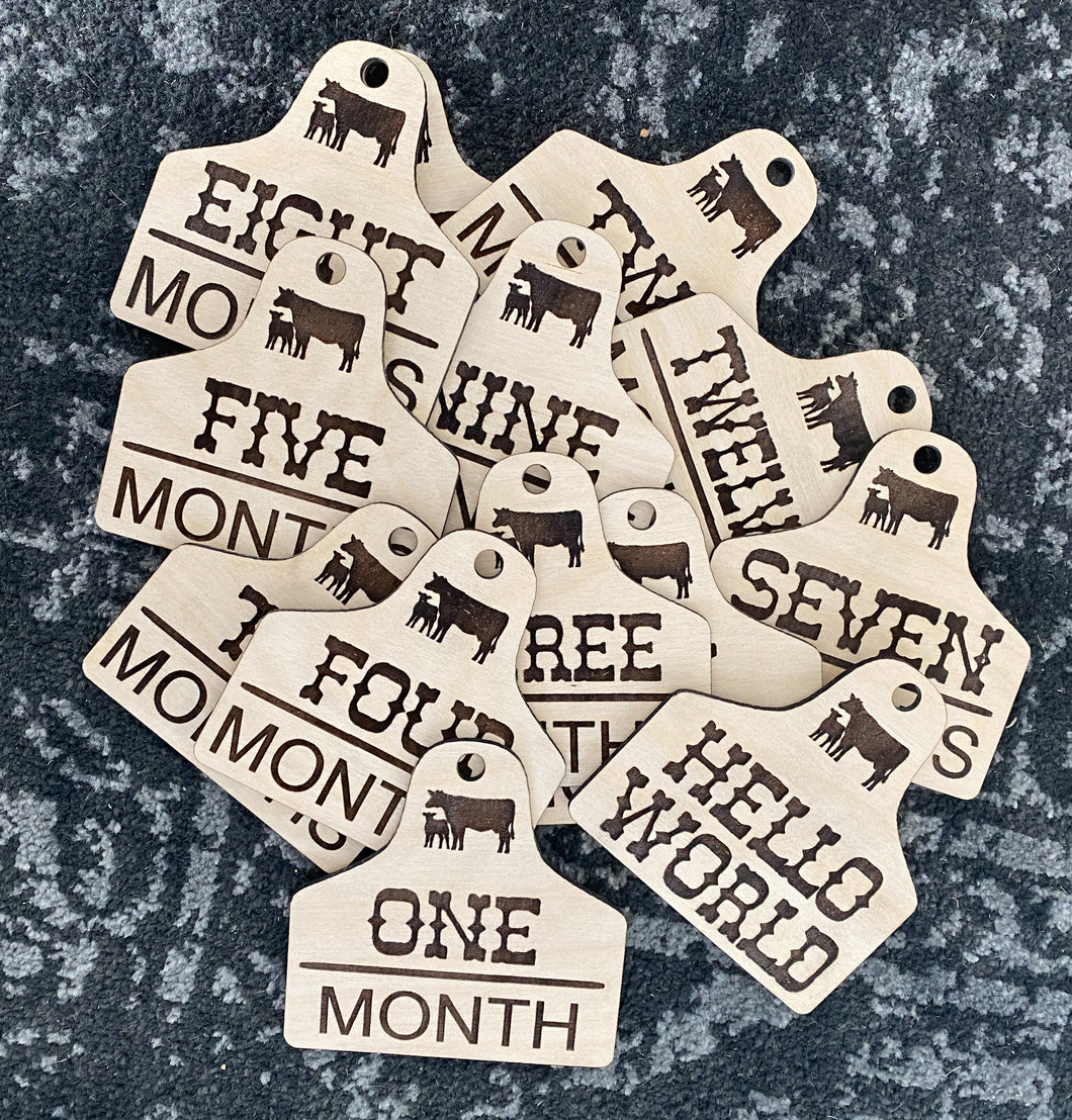 Monthly Milestones